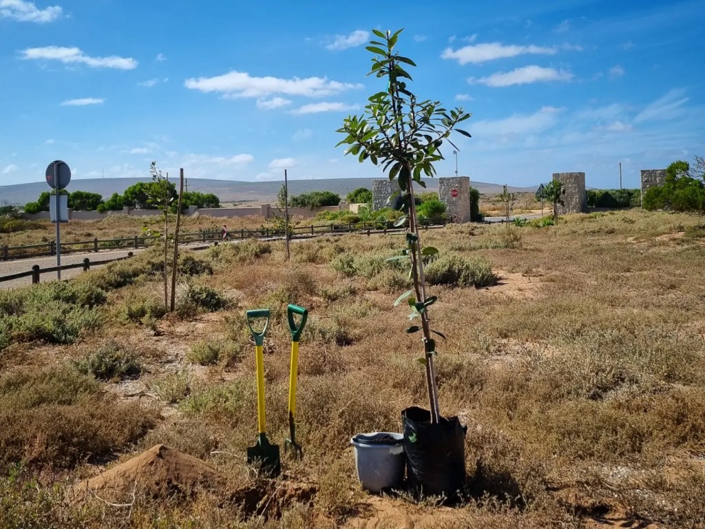 World Earth Day 2022 – where to start?