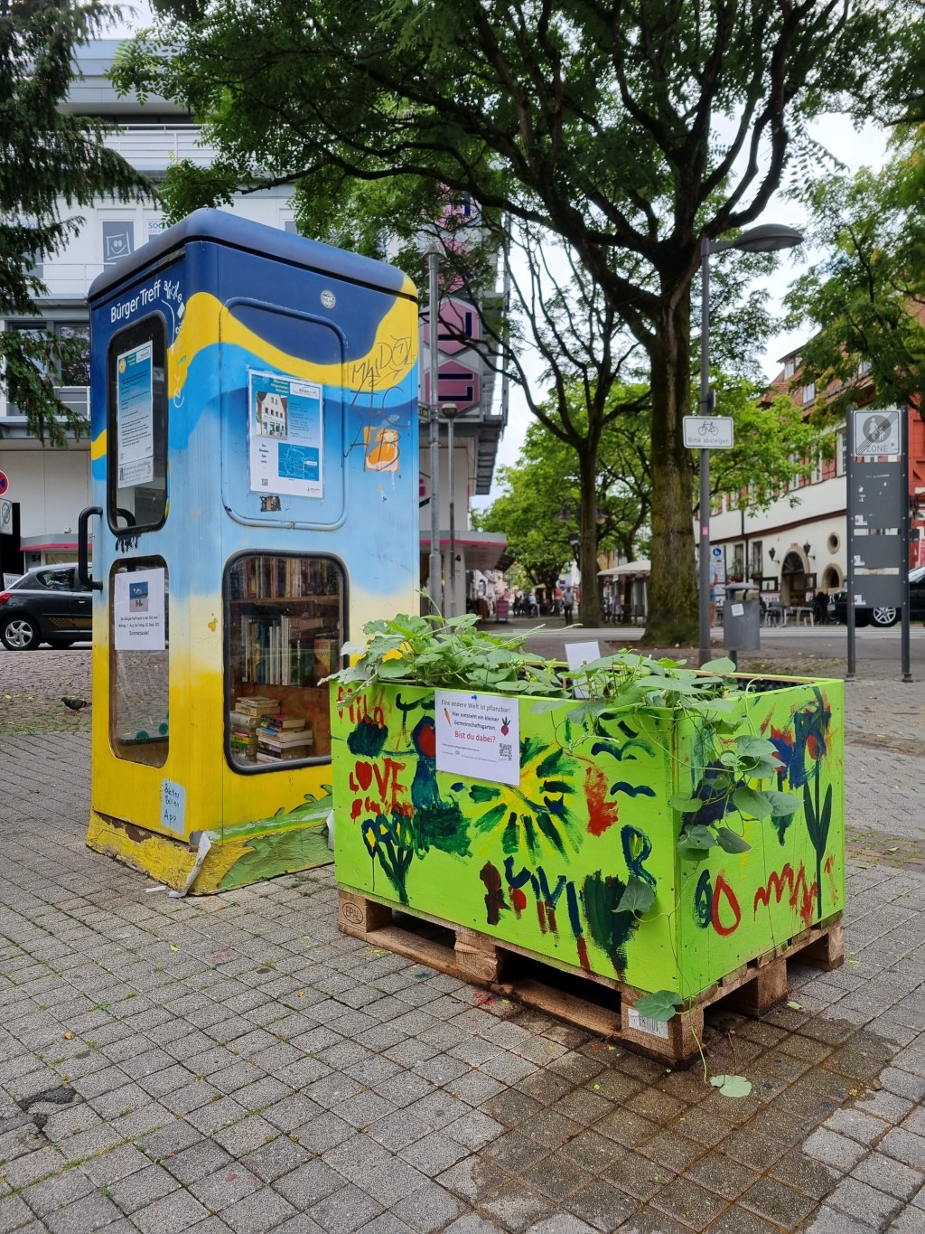 Easy-Peasy Veggyboxes